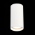 ST157.542.15 Светильник потолочный Белый LED 1*15W 4000K 1 200Lm Ra&gt;90 60° IP44 D75xH140 220-265V Накладные светильники, изображение 3