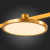 ST818.206.12 Магнитный трековый светильник FARM Золотистый LED 1*10W 3000K 520Lm Ra90 120 IP20 D168xH54 24V FARM, изображение 6