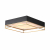 SL1127.422.05 Светильник потолочный ST-Luce Черный, Матовое золото/Белый E27 5*40W CHODO, изображение 2