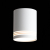 ST101.502.12 Светильник потолочный Белый LED 1*12W 3000K 936Lm Ra&gt;80 120° IP20 D79xH100 170-240V Накладные светильники, изображение 3