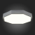 SLE200872-01 Светильник потолочный Серый/Белый LED 1*45W 3000K/4000K/6000K RONDO, изображение 9