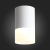 ST100.542.05 Светильник потолочный Белый LED 1*5W 4000K 390Lm Ra&gt;80 120° D64xH110 170-240V Накладные светильники, изображение 5