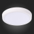 ST112.532.18 Светильник настенно-потолочный Белый LED 1*18W 3000K 1 225Lm Ra80 120° IP20 D210xH28 90-265V Накладные светильники, изображение 6