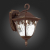 SL083.701.01 Светильник уличный настенный ST-Luce Кофейный/Кофейный, Прозрачный E27 1*60W CHIANI, изображение 7