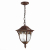 SL083.703.01 Светильник уличный подвесной ST-Luce Кофейный/Кофейный, Прозрачный E27 1*60W CHIANI, изображение 2