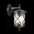 SL085.411.01 Светильник уличный настенный ST-Luce Черный/Черный, Прозрачный E27 1*60W LORNE, изображение 6