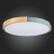 SLE201372-01 Светильник потолочный Серый, Светлое дерево/Белый LED 1*40W 3000K/4000K/6000K DELIA, изображение 12