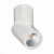 ST650.542.10 Светильник потолочный Белый LED 1*10W 4000K 800Lm Ra&gt;90 38° IP44 D62xH151 165-265V Накладные светильники, изображение 2