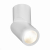 ST650.542.10 Светильник потолочный Белый LED 1*10W 4000K 800Lm Ra&gt;90 38° IP44 D62xH151 165-265V Накладные светильники