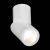 ST650.542.10 Светильник потолочный Белый LED 1*10W 4000K 800Lm Ra&gt;90 38° IP44 D62xH151 165-265V Накладные светильники, изображение 5