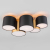 Потолочный светильник 3447 Mona Black / Gold, изображение 2
