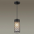 4834/1 NATURE ODL21 646 черный/стекло Ландшафтный светильник-подвес E27 1*60W IP44 DUNES, изображение 3