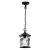 4963/1 NATURE ODL22 639 черный/стекло Ландшафтный подвес E27 1*60W IP44 CUITA, изображение 2