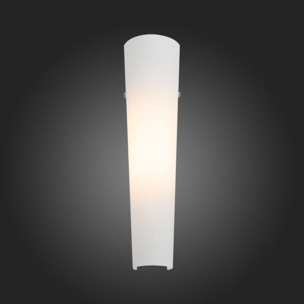 SL508.501.01 Светильник настенный ST-Luce Белый/Белый LED 1*8W