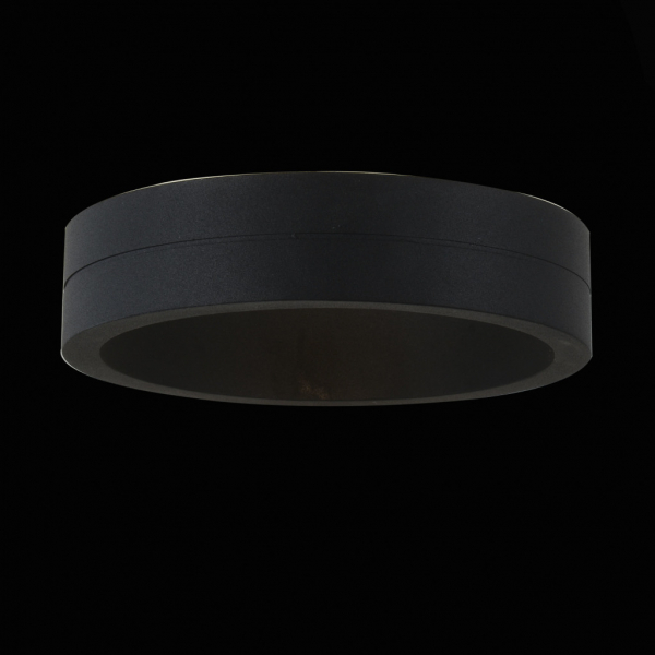 SL562.401.01 Светильник уличный настенный ST-Luce Черный/Черный LED 1*6W