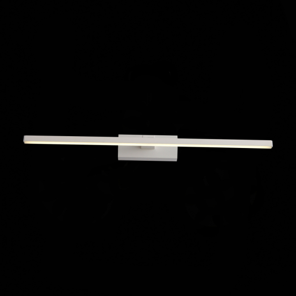 SL446.501.01 Подсветка для картин ST-Luce Белый/Белый LED 1*12W