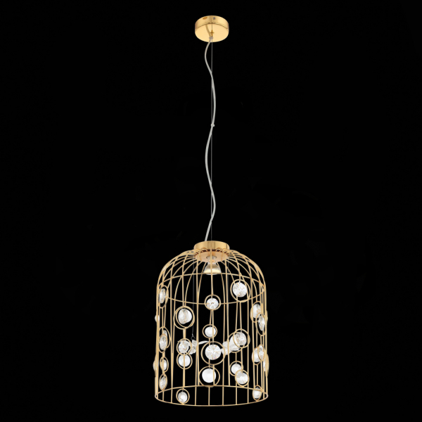 SL189.203.01 Подвес ST-Luce Золото/Золото, Прозрачный GU10 1*50W
