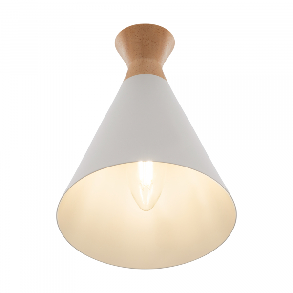 Настенный светильник (бра) FR5169WL-01W