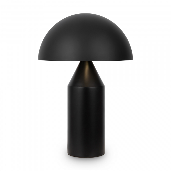 Настольный светильник FR5218TL-02B1