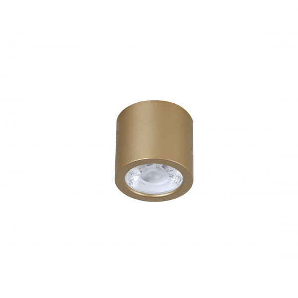 2807-1C, потолочный светильник, D65xH60, 1xLEDx7W, 560LM, 4000K, included, изображение 2