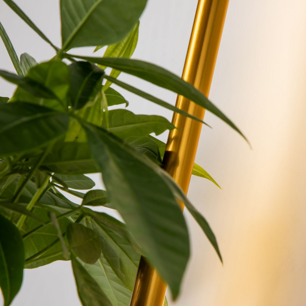 4050-1W, настенный светильник, D210xW120xH600, LEDx8W, 2700LM, 3000K, included, изображение 4