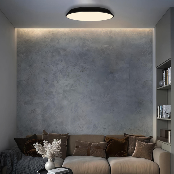 10226 Black Потолочный светильник LOFT IT Brim, изображение 7