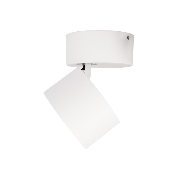 10323/A White Накладной светильник LOFT IT Focus, изображение 5