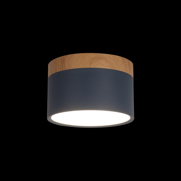 10162 Blue Накладной светильник LOFT IT Grape, изображение 2