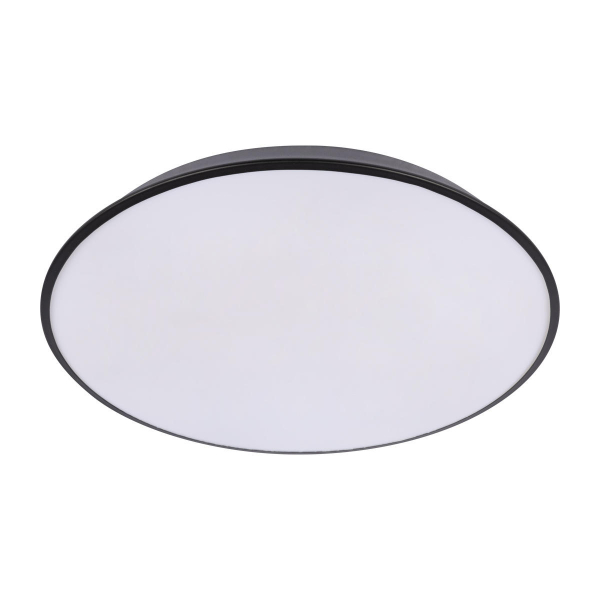 10226 Black Потолочный светильник LOFT IT Brim, изображение 3
