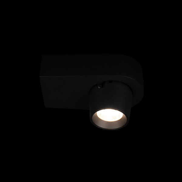 10320 Black Накладной светильник LOFT IT Quiet, изображение 4