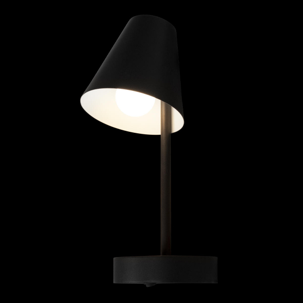 10216/1W Black Настенный светильник LOFT IT Shelf, изображение 6