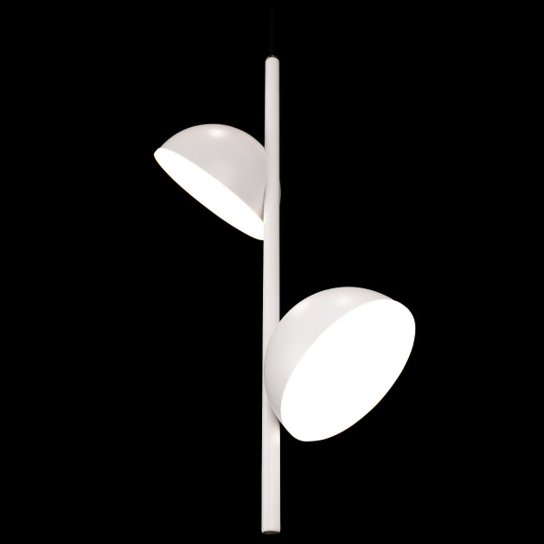 10335 White Подвесной светильник LOFT IT Mons, изображение 4