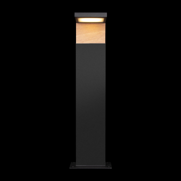 100001/600 Ландшафтный светильник LOFT IT Oak, изображение 2