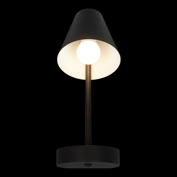 10216/1W Black Настенный светильник LOFT IT Shelf, изображение 2
