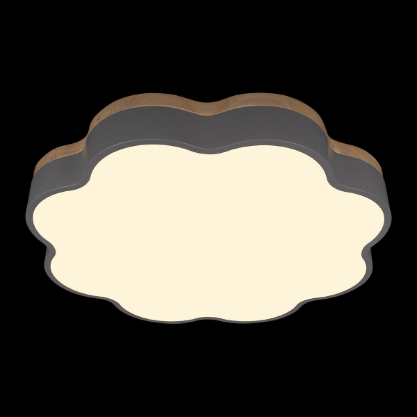 10225/36 Grey Потолочный светильник LOFT IT Axel, изображение 2