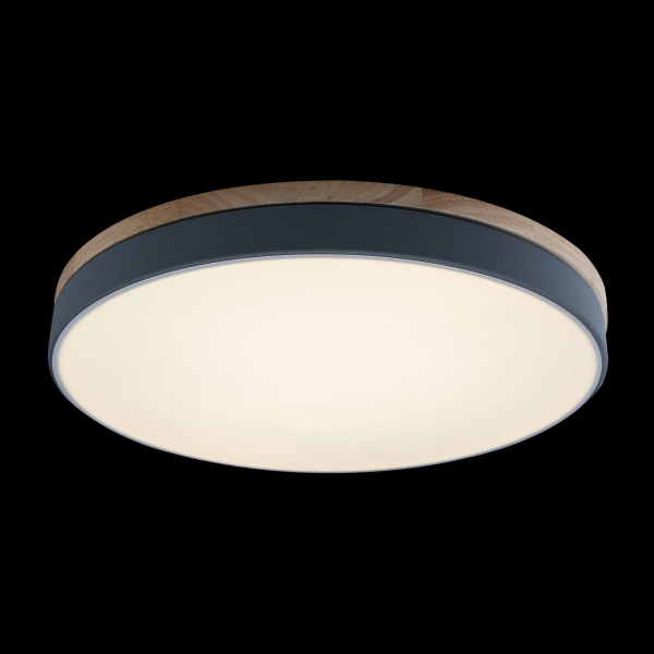10001/36 Grey Потолочный светильник LOFT IT Axel, изображение 3
