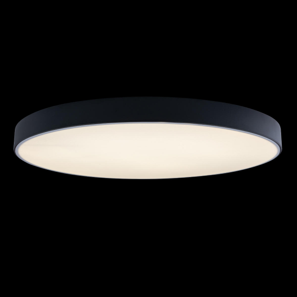 10002/48 Black Потолочный светильник LOFT IT Axel, изображение 2