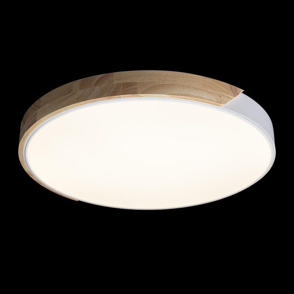 10004/36 White Потолочный светильник LOFT IT Axel, изображение 2