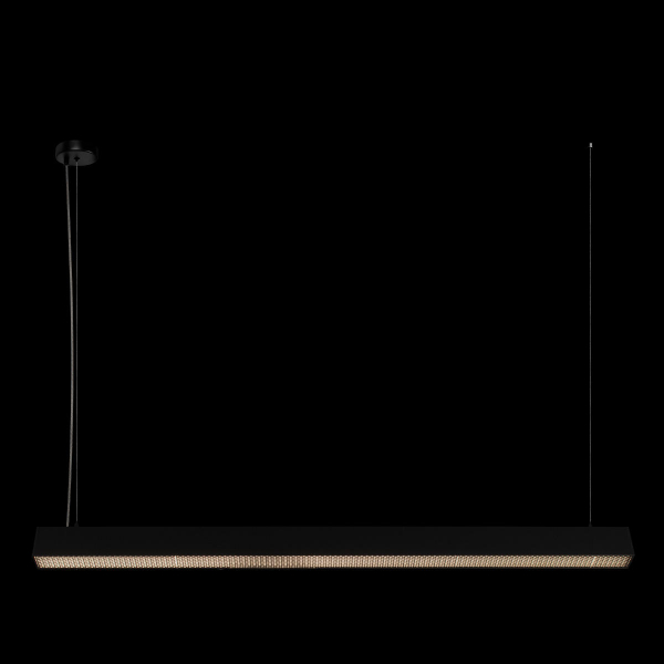 10318/C Black Подвесной светильник LOFT IT Vim, изображение 2
