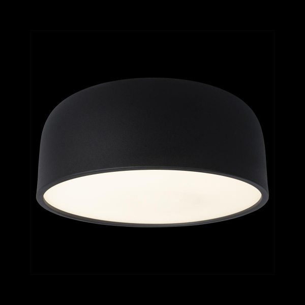 10201/350 Black Потолочный светильник LOFT IT Axel, изображение 2
