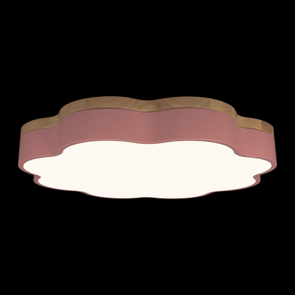 10225/36 Pink Потолочный светильник LOFT IT Axel, изображение 4