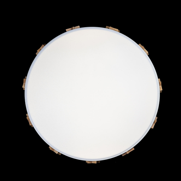 10006/36 White Потолочный светильник LOFT IT Axel, изображение 3