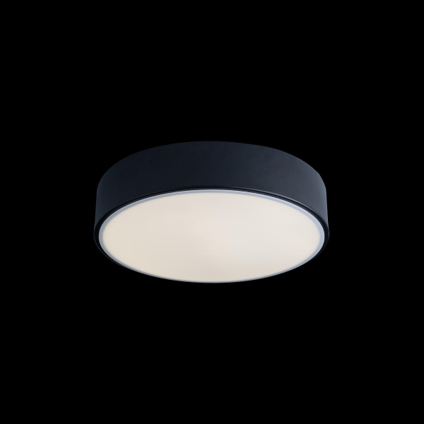 10002/12 Black Потолочный светильник LOFT IT Axel, изображение 2