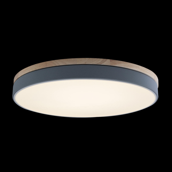 10001/36 Grey Потолочный светильник LOFT IT Axel, изображение 2
