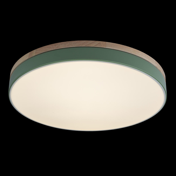 10001/36 Green Потолочный светильник LOFT IT Axel, изображение 3