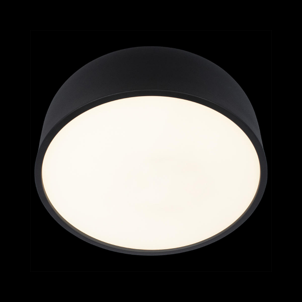 10201/350 Black Потолочный светильник LOFT IT Axel, изображение 4