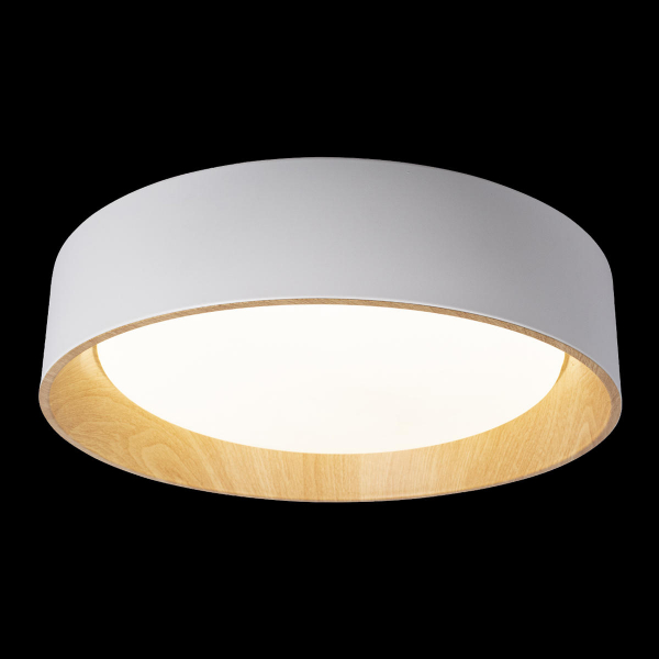 10202 White Потолочный светильник LOFT IT Coin, изображение 2