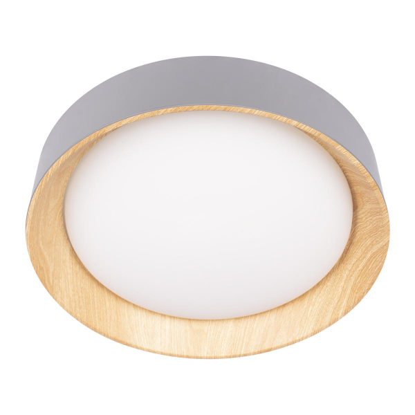 10202 Grey Потолочный светильник LOFT IT Coin, изображение 5