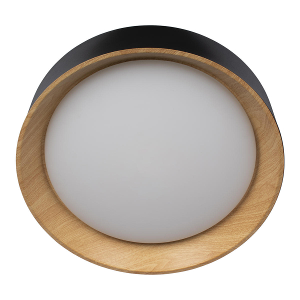 10202 Black Потолочный светильник LOFT IT Coin, изображение 3