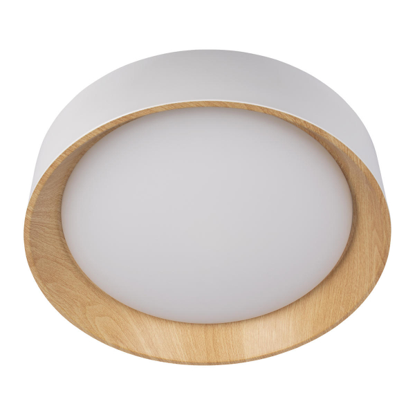 10202 White Потолочный светильник LOFT IT Coin, изображение 3